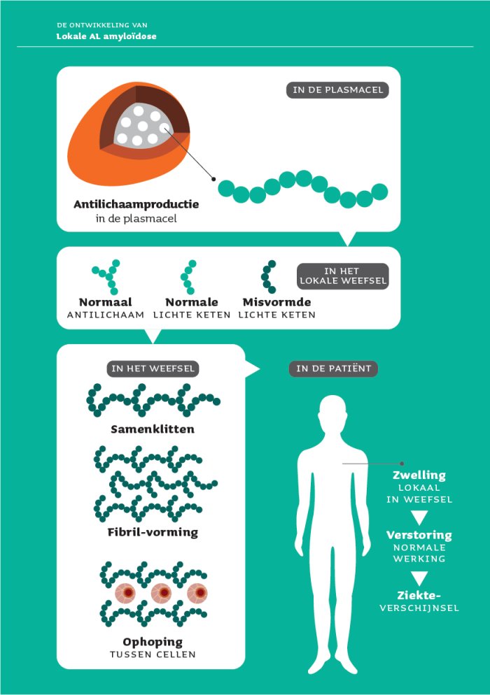 Schematische weergave van amyloidose